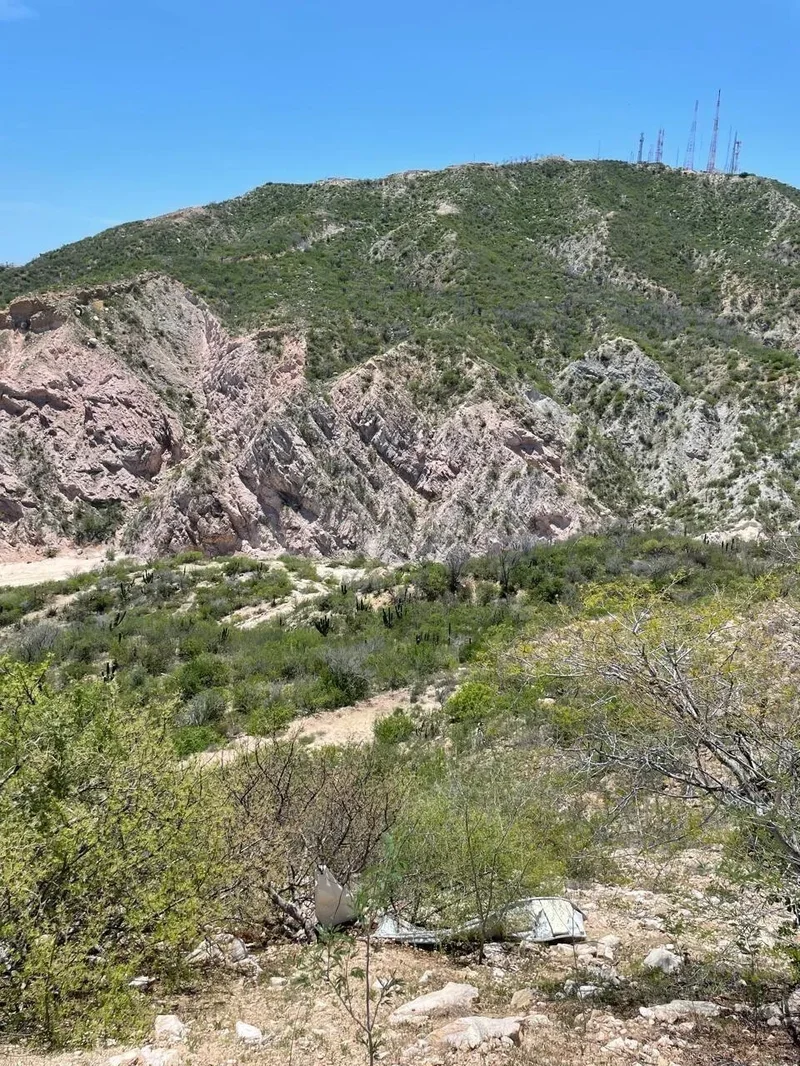 Carr. Transpeninsular, San José del Cabo, Baja California Sur, Mexico. - Photo 6