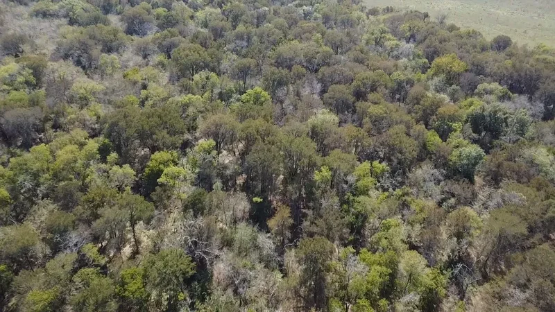 Tbd SW CR 3160, Dawson, TX 76639, Hubbard, Texas, United States. - Photo 27