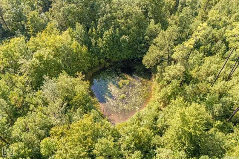 271 Greene 716 Road, Paragould, AR 72450, Paragould, Arkansas, United States. - Photo 8