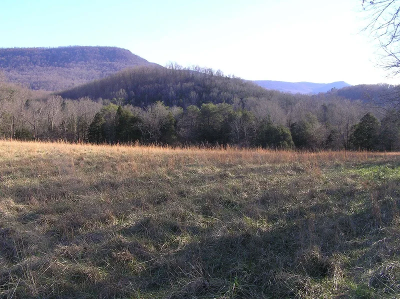 4114 Lower East Valley Rd, Dunlap, TN 37327, Dunlap, Tennessee, United States. - Photo 13