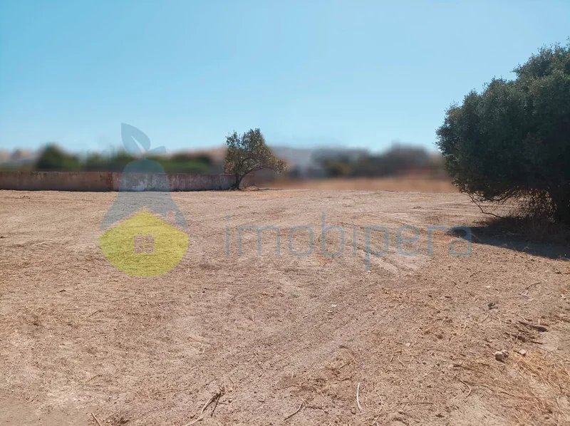 Armacao de Pera, Algarve, Portugal. - Photo 6