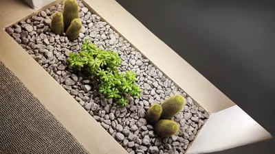 Thumbnail 53