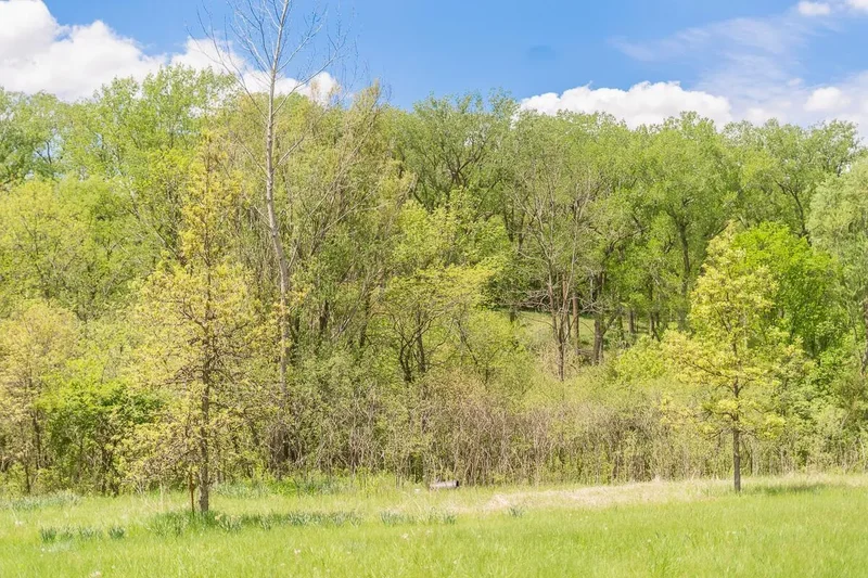 2048 Horse Creek Rd Road, SIDNEY, IA 51652, Sidney, Iowa, United States. - Photo 40