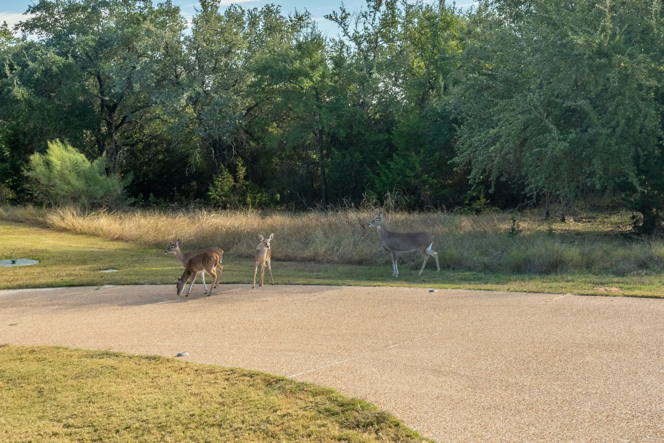 19069 Lakeview Court , Whitney, TX 76692, Whitney, Texas, United States. - Photo 50