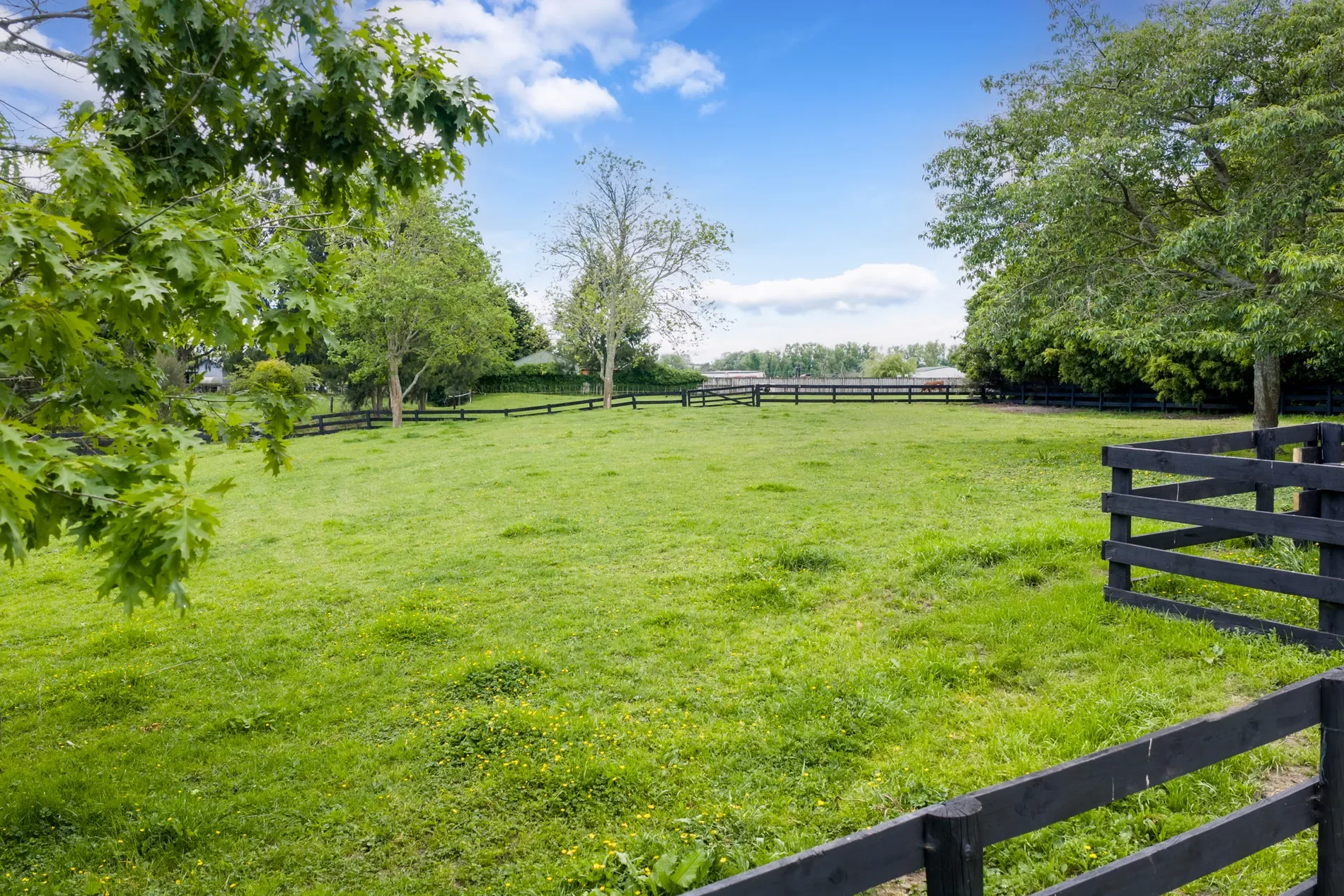 17 Puketaha Road, Puketaha, Waikato, New Zealand. - Photo 13