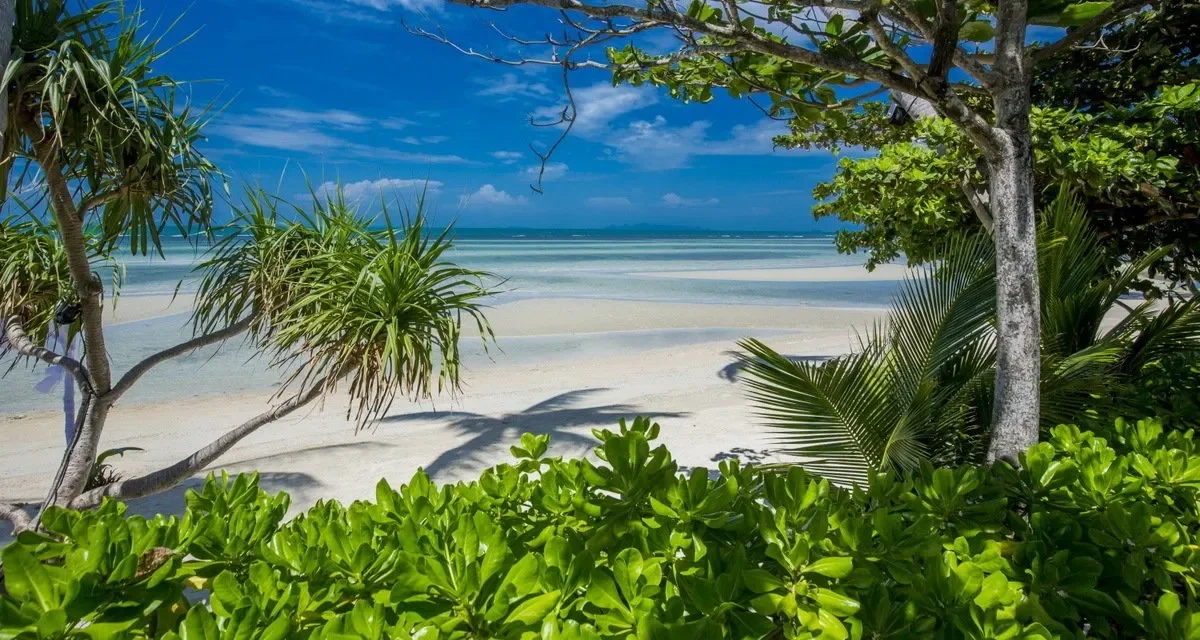 Gallery photo 9