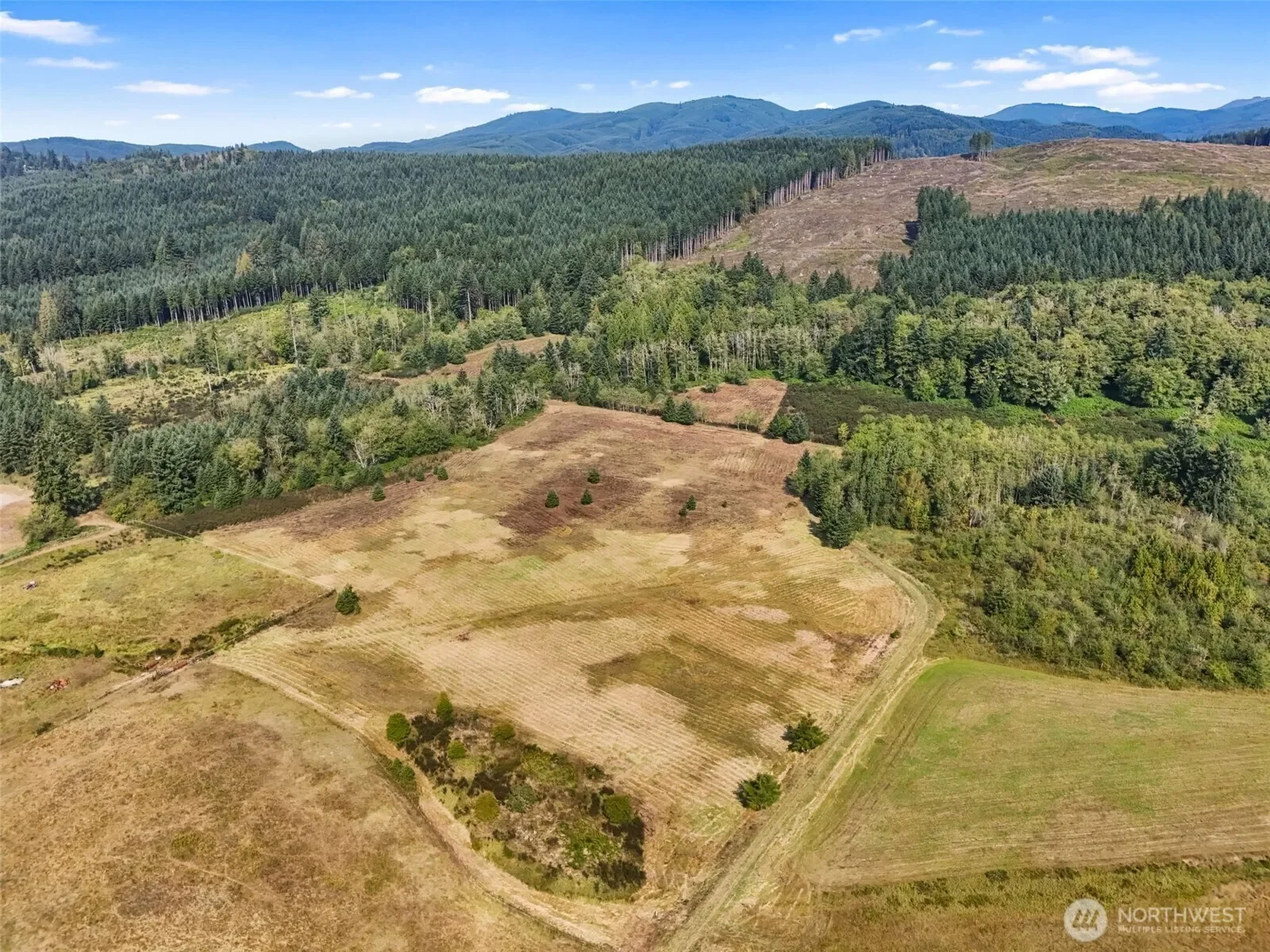 104 Bills Lane, Onalaska, WA 98570, Onalaska, Washington, United States. - Photo 32