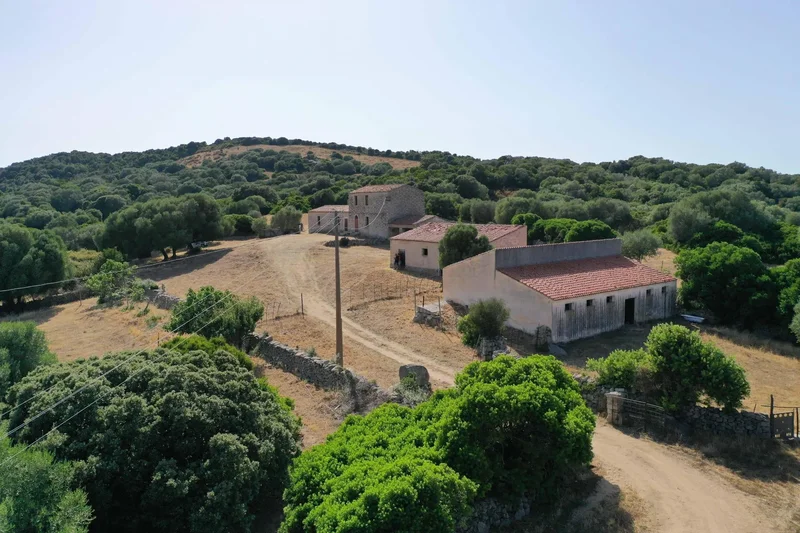 Azienda Agricola Con Palazzetto Gallurese