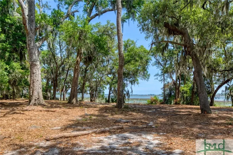 9 Longbridge Road, Savannah, Georgia, United States. - Photo 7