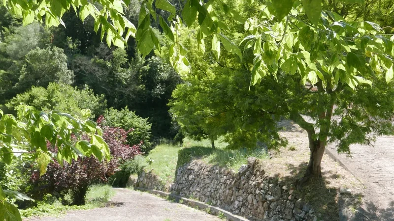 Dolceacqua, Liguria, Italy. - Photo 9
