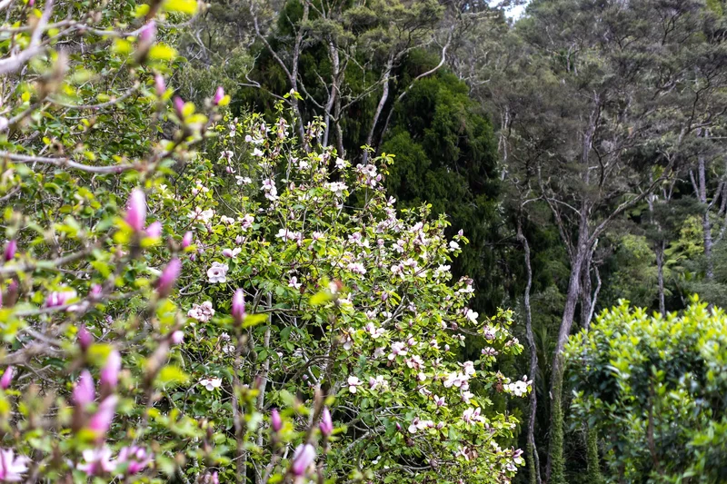 60 Robinson Road Coatesville Rodney, Auckland, 0793, Auckland, Auckland, New Zealand. - Photo 18