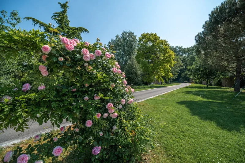 Préverenges, Vaud, Switzerland. - Photo 12