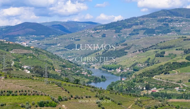 Cambres, VISEU, Almacave, Viseu District, Portugal. - Photo 34