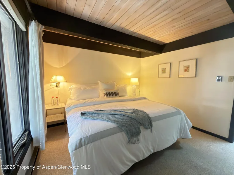 1034 E COOPER Avenue 19, Aspen, Colorado, United States. - Photo 18