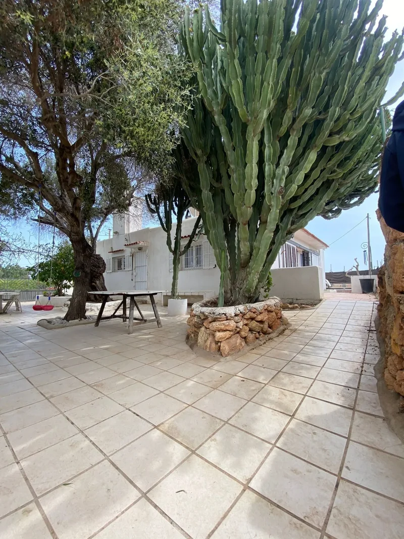 Reform Opportunity in Ibiza: 2 Houses with Views, 2 and 3 Bedrooms for Investment or Family Home