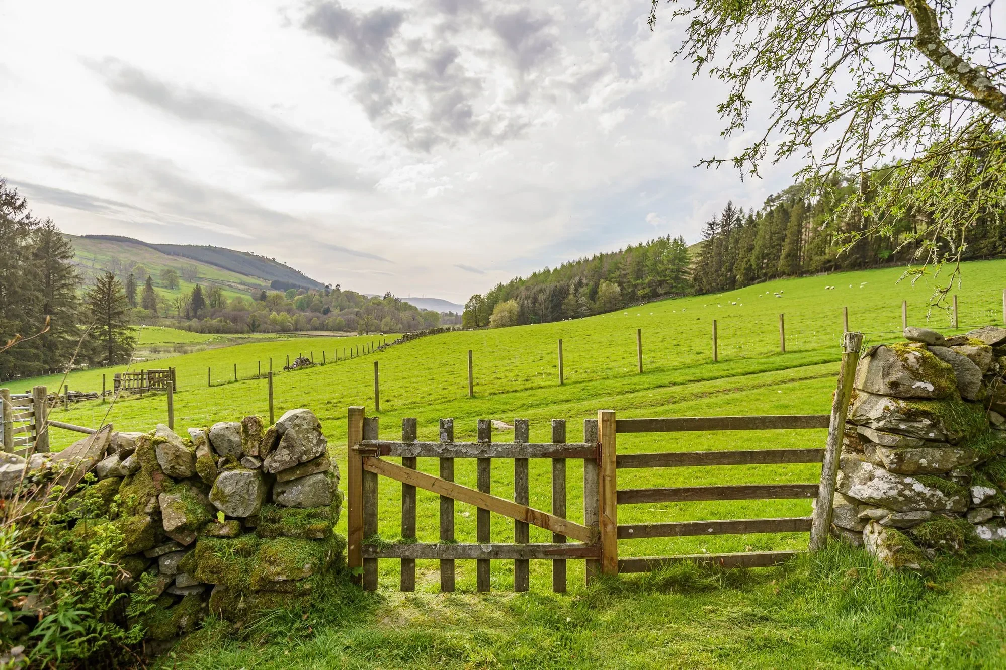 Moniaive, Thornhill, Thornhill, Scotland, United Kingdom. - Photo 33