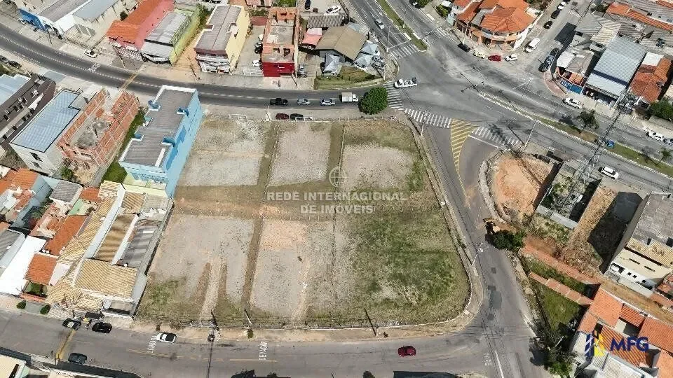 Jardim Paulista, State of São Paulo, Brazil. - Photo 3