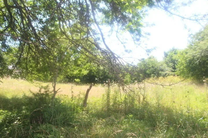 3176 S 170th Road, Polk, MO 65727, Bolivar, Missouri, United States. - Photo 72
