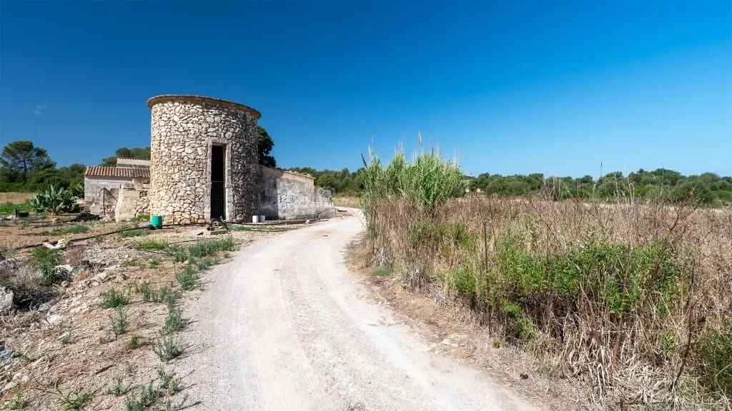 Baleares, Muro, Balearic Islands, Spain. - Photo 18