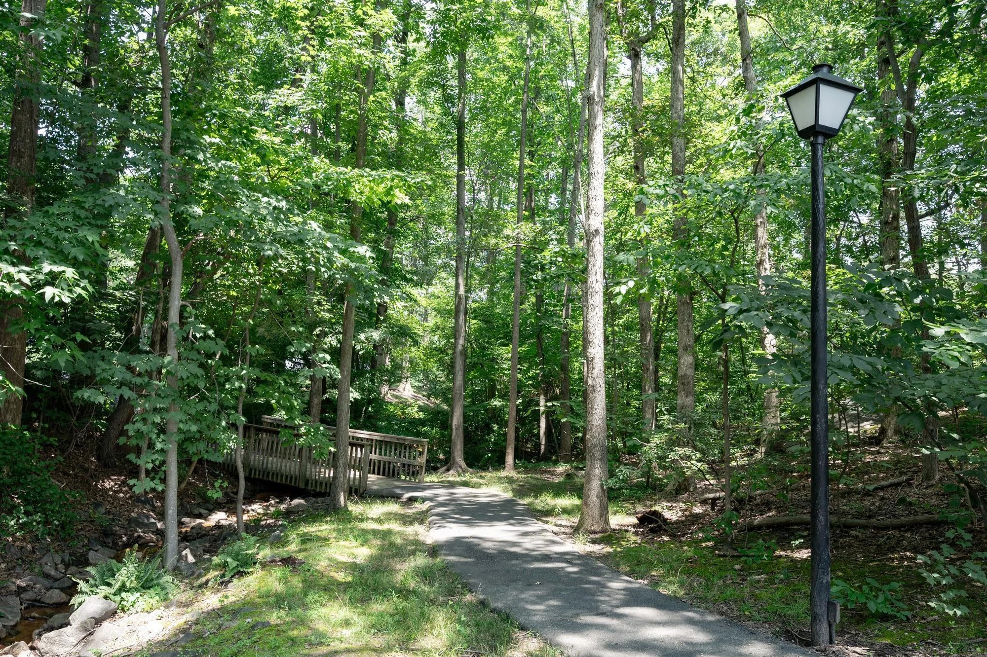 6909 Trillium Lane, Springfield, VA 22152, West Springfield, Virginia, United States. - Photo 14