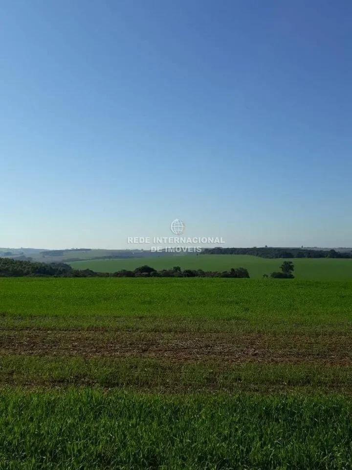 Itaberá, State of São Paulo, Brazil. - Photo 4