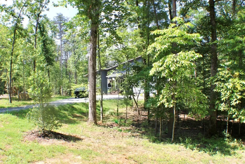 1001 Sunset Road, Blue Ridge, Georgia, United States. - Photo 4