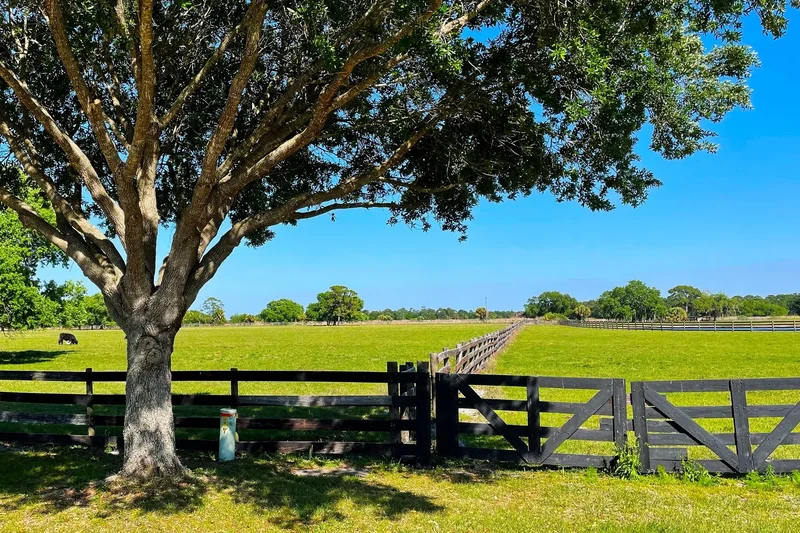 26209 SW Jockeys , Martin County, FL 34974, Buckhead Ridge, Florida, United States. - Photo 74