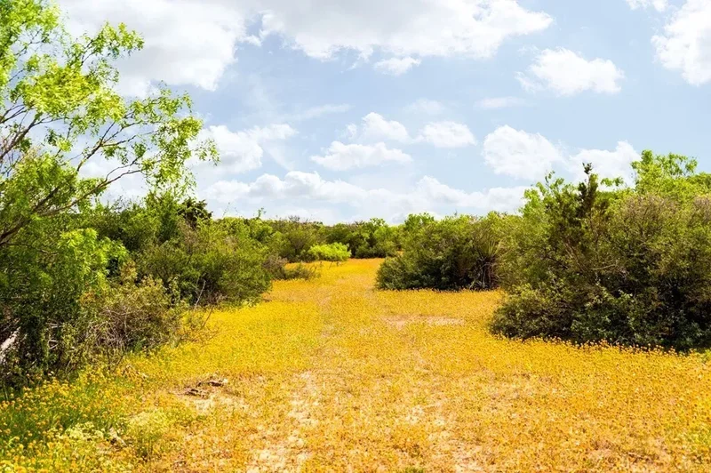 12757 State Hwy 29, Hext, TX 76848, Liberty Hill, Texas, United States. - Photo 18