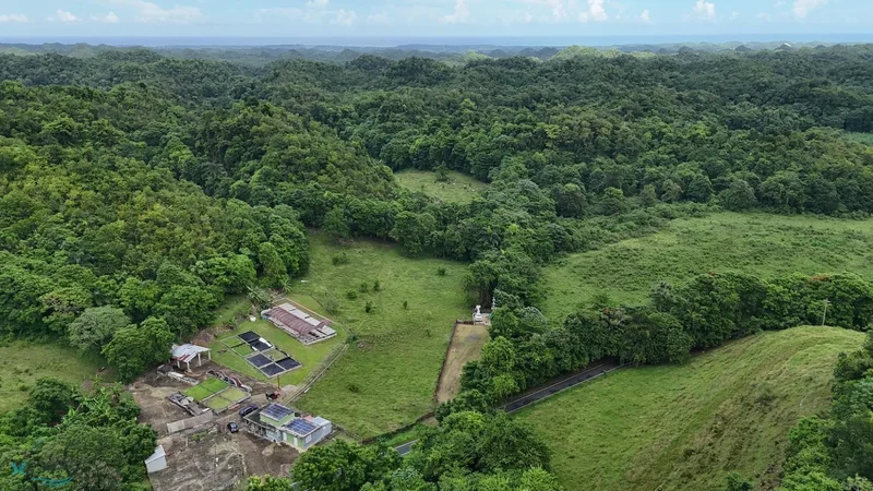 Manatí CARR 641, Manatí, Manatí, Puerto Rico. - Photo 3