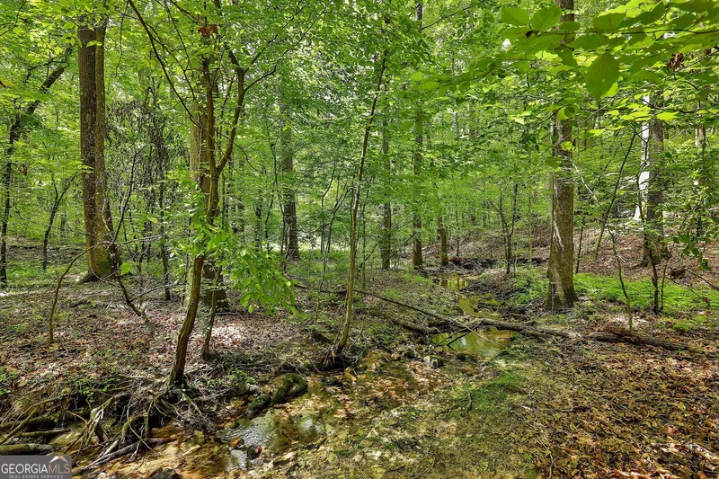 150 Seals Road, Dallas, GA 30157, Dallas, Georgia, United States. - Photo 14