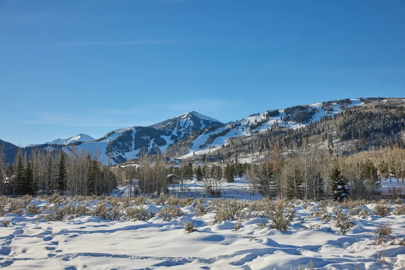 6 Stage Rd, Aspen, CO 81611, Aspen, Colorado, United States. - Photo 4