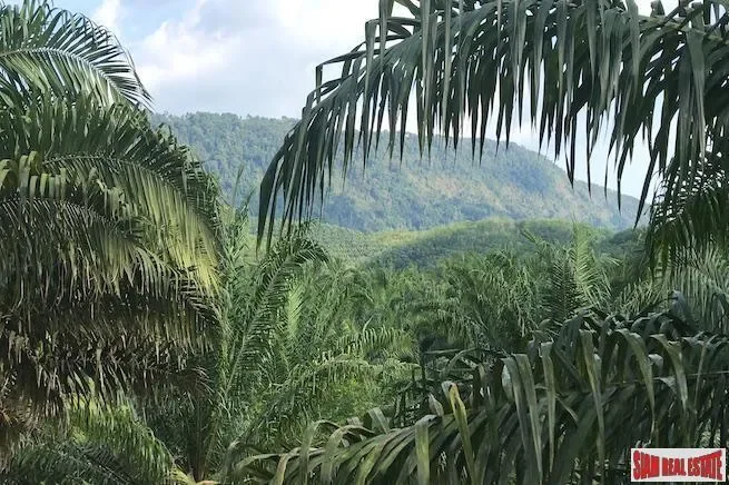 Phang Nga,, Tham, Phang-nga, Thailand. - Photo 5