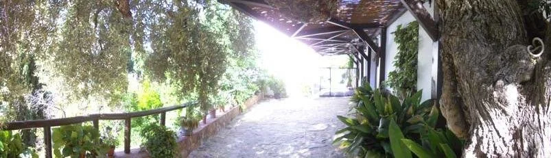 Exterior photo 11
