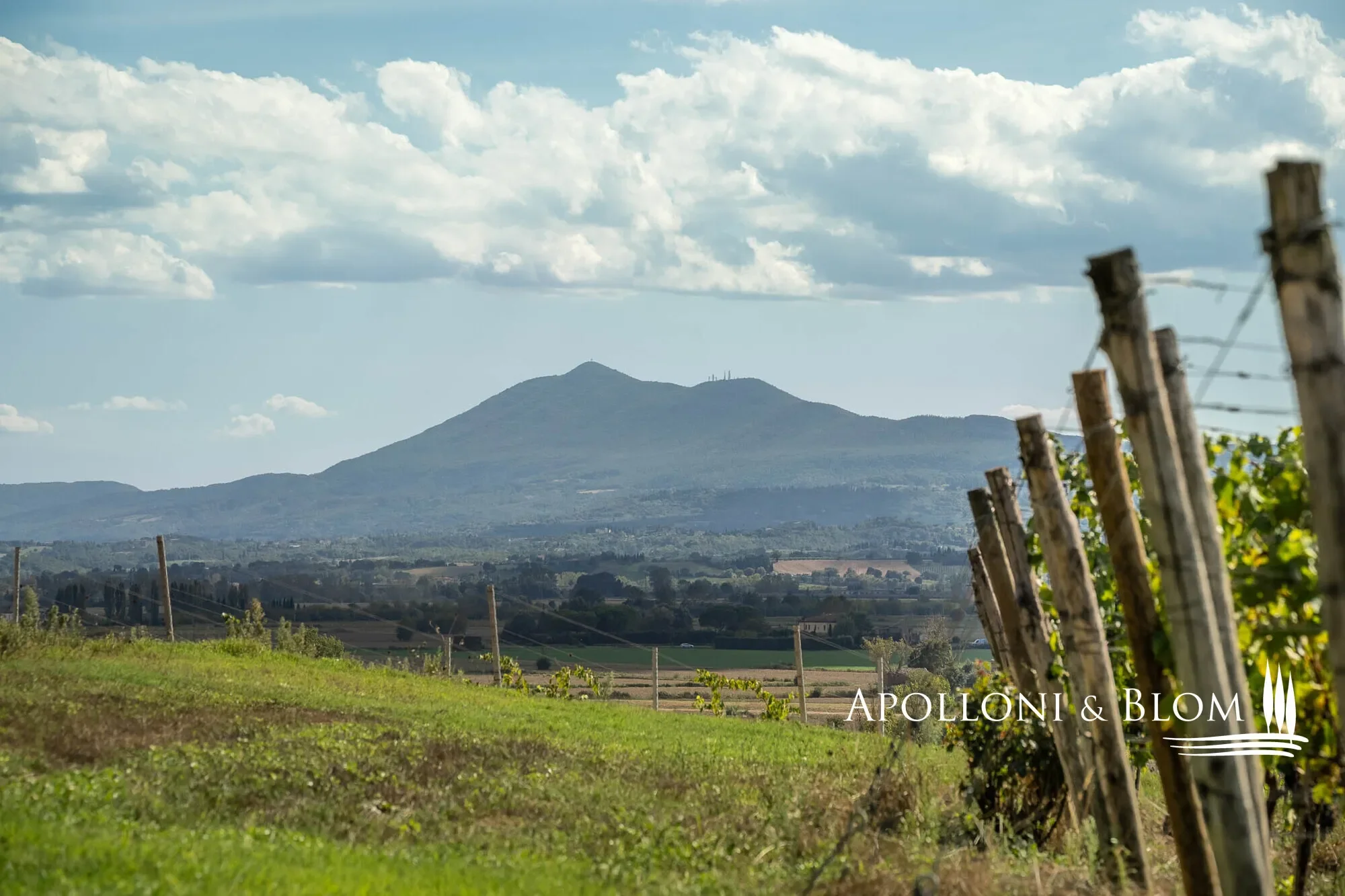 Via di Terra Rossa, Valiano, Tuscany, Italy. - Photo 14