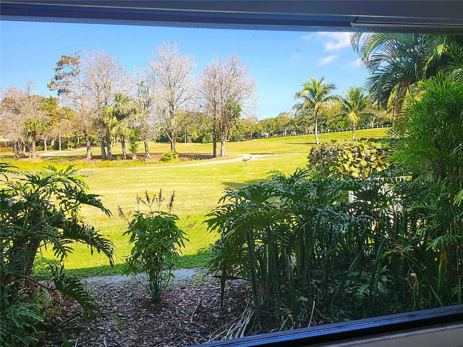 1 Balfour Rd E, Palm Beach Gardens, Florida, United States. - Photo 11