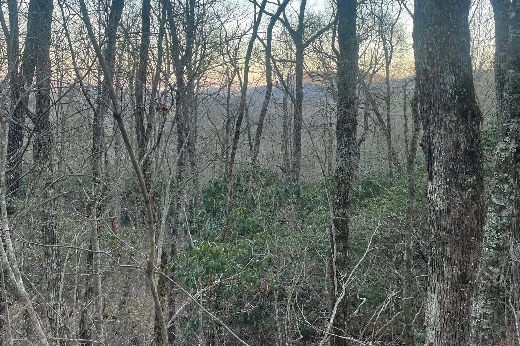 00 Off Zeb Buchanan Road, Cullowhee, NC 28723, Cullowhee, North Carolina, United States. - Hero Image