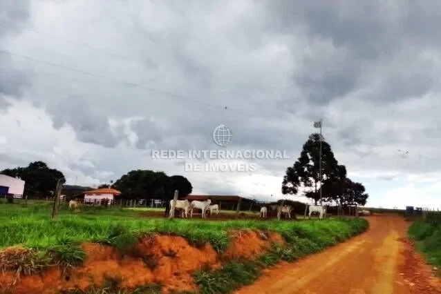 Farm in the region of Serra da Canastra MG - 1600 alqueires A beautiful farm of 1,600 alqueires pau