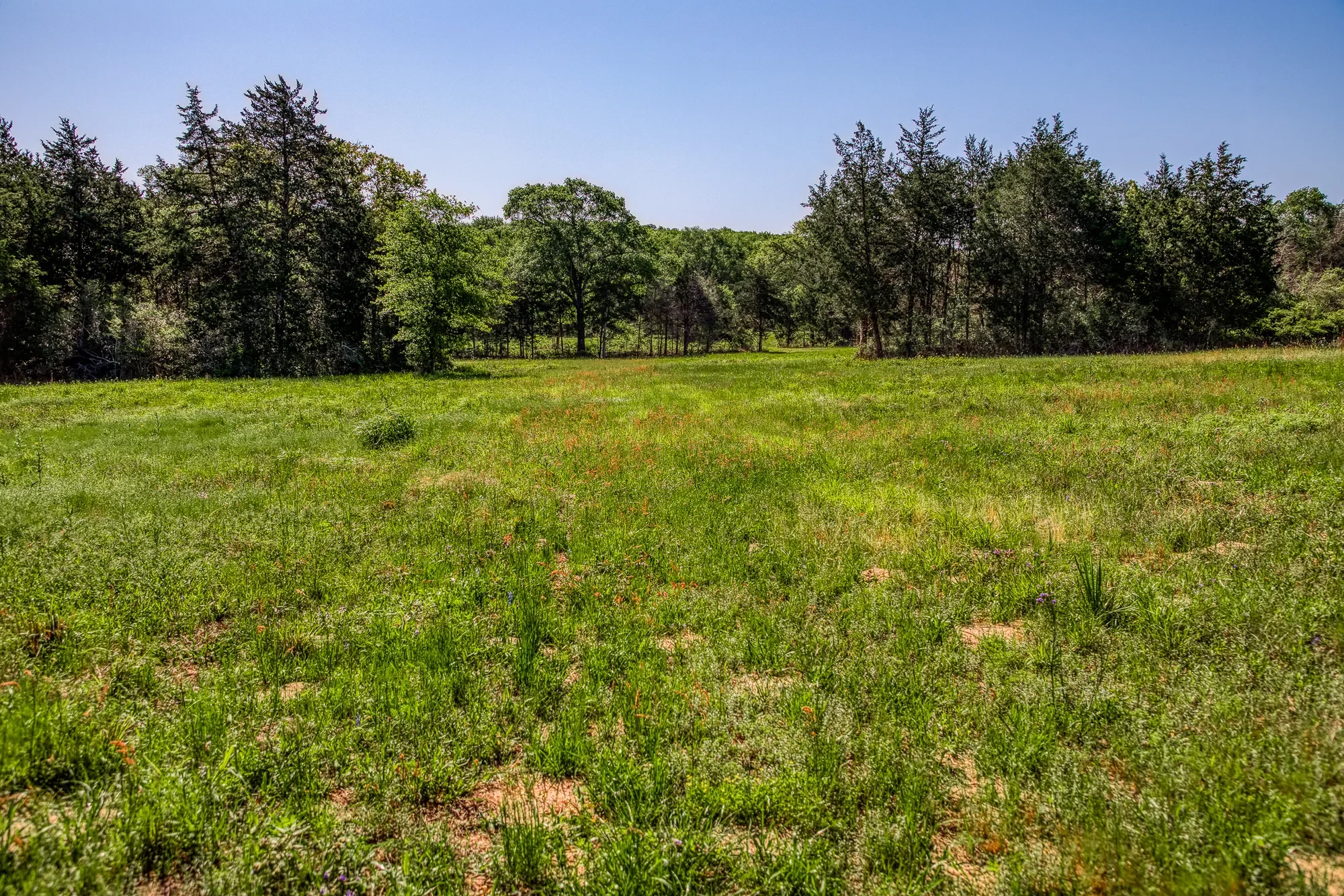 6925 S Sycamore Crossing Rd A , Bellville, TX 77418-3134, Bellville, Texas, United States. - Photo 27