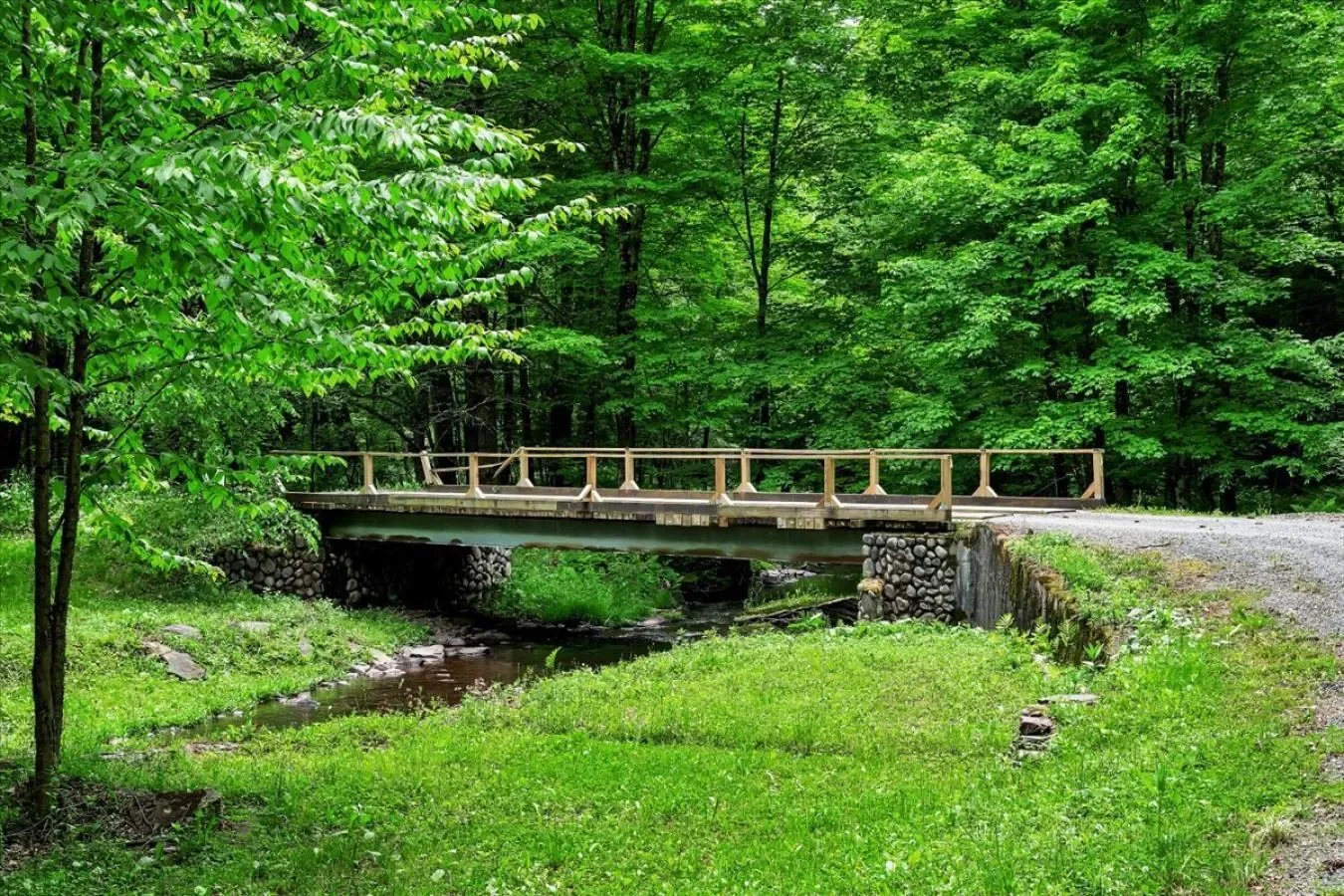 613 Betty Brook Road, South Kortright, New York, United States. - Photo 32