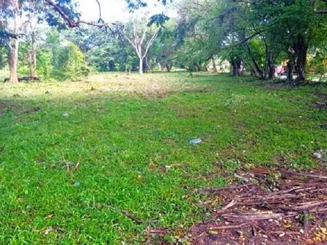 Capira District, Provincia de Panamá Oeste, Panama. - Photo 6