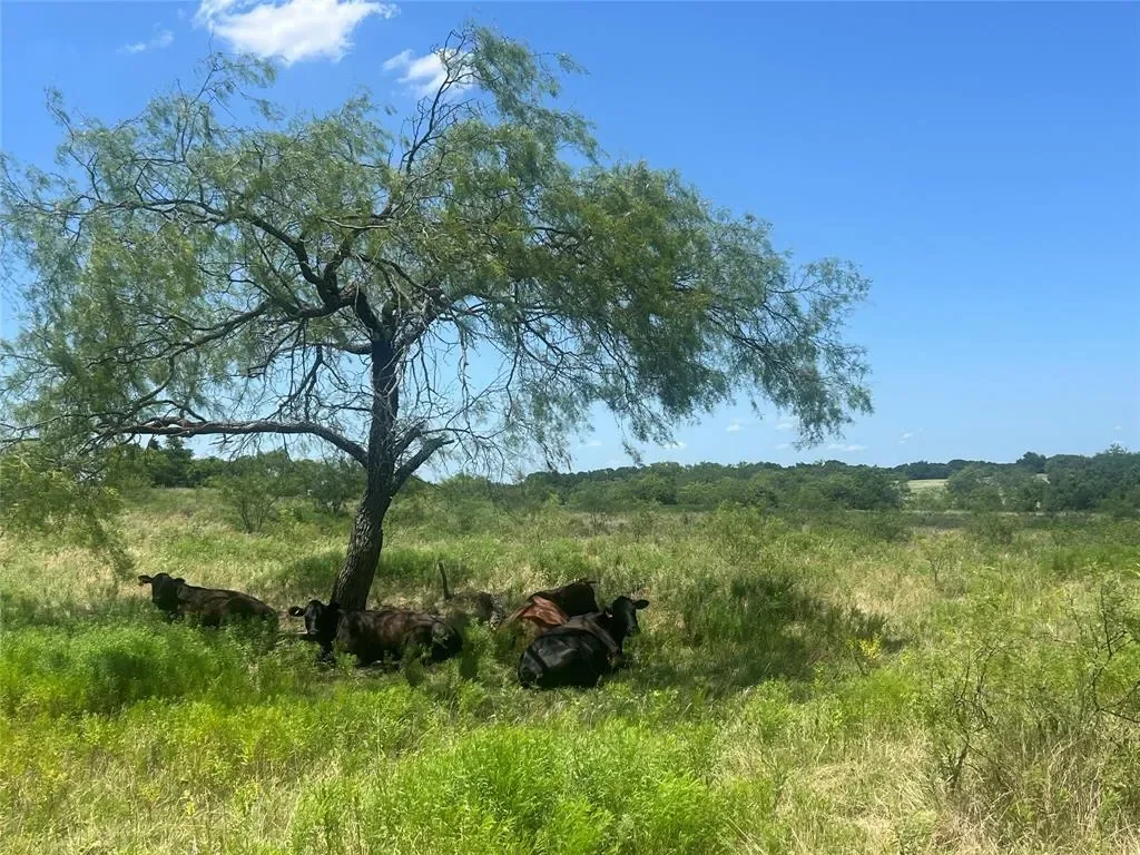 771 Hcr 2233, West, TX 76691, West, Texas, United States. - Photo 4