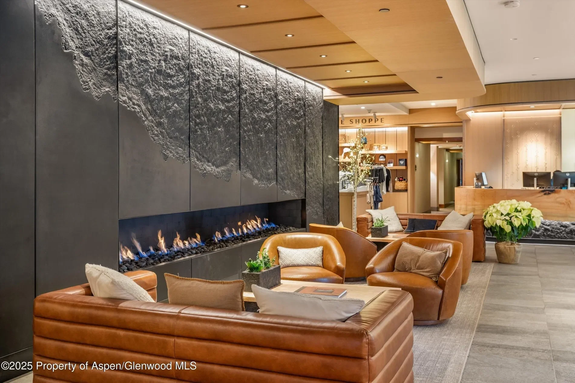 130 Wood Road, #654, Snowmass Village, CO, 81615, USA, Aspen, Colorado, United States. - Photo 36