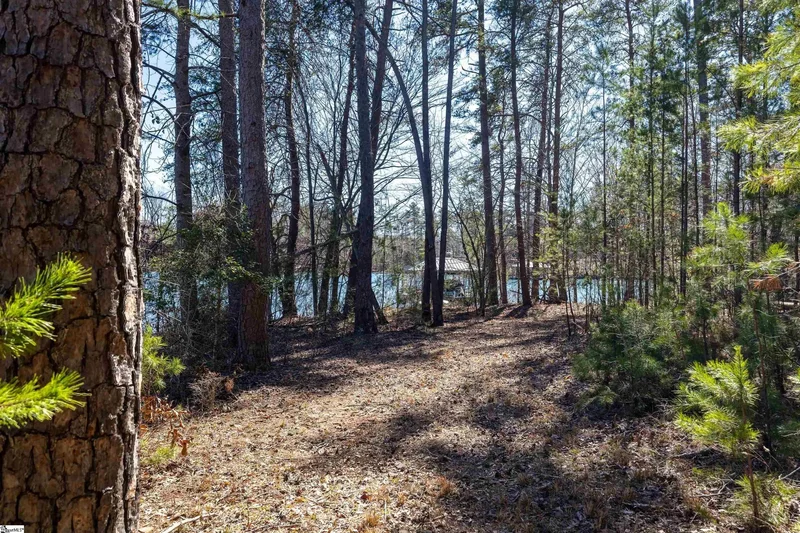 581 Big Creek Way, Salem, SC 29676, Salem, South Carolina, United States. - Photo 20