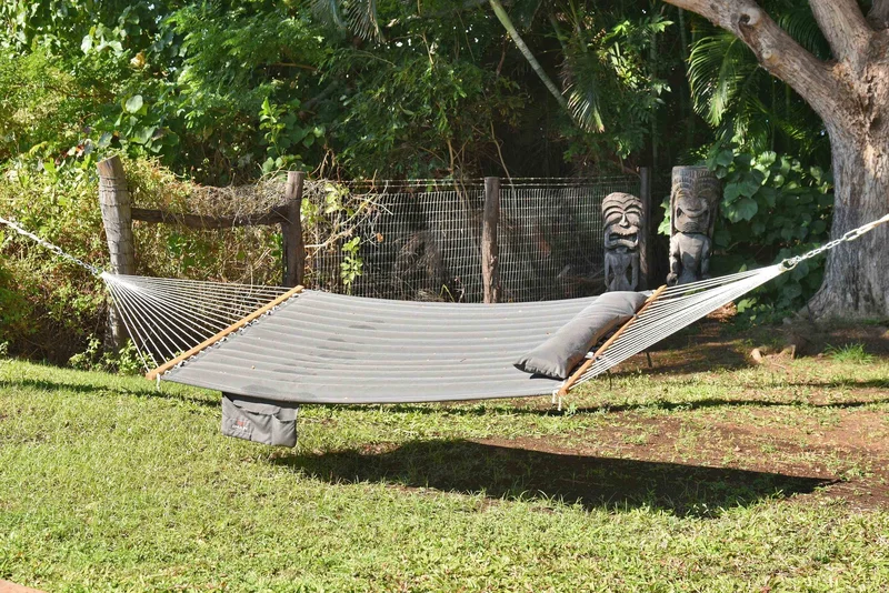 49 Kuahulu Pl, Lahaina, HI 96761, Lahaina, Hawaii, United States. - Photo 48