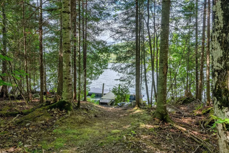 30 Ch. des Quatre-Temps, Mont-Tremblant, Quebec, Canada. - Photo 31