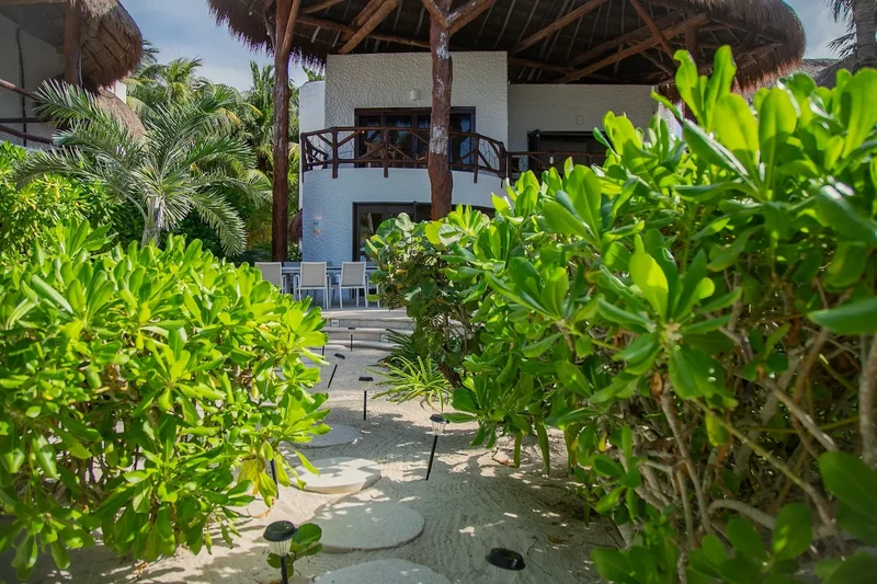 Paseo Carey, Isla Holbox, ROO 77310, Holbox, Quintana Roo, Mexico. - Photo 69