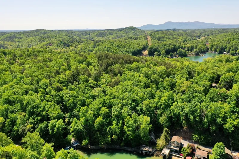 00 Buffalo Shoals Road, Lake Lure, NC 28746, Lake Lure, North Carolina, United States. - Photo 4
