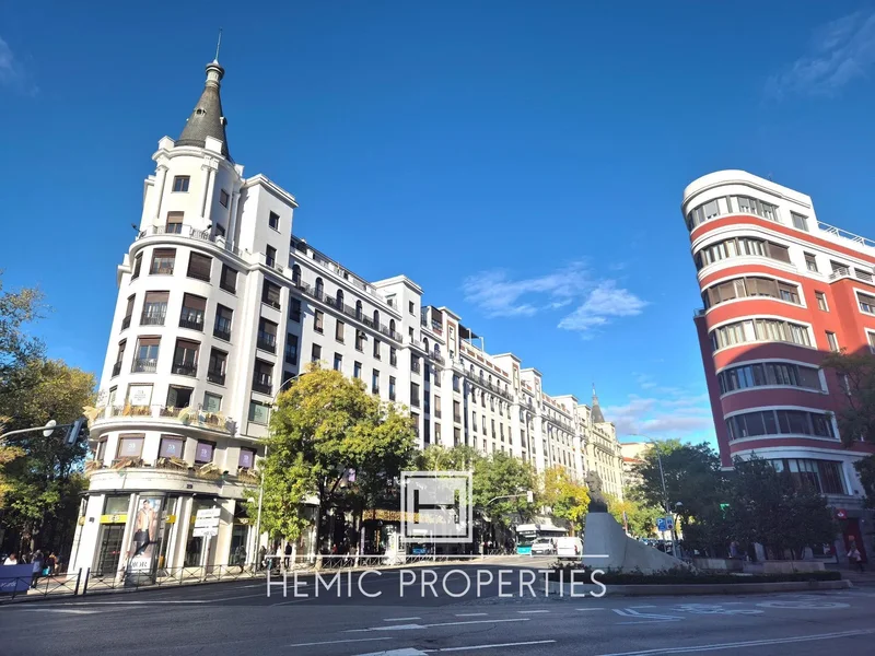 Lista, Madrid, MADRID, Madrid, Barrio Salamanca, Madrid, Spain. - Photo 20