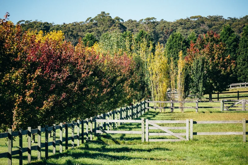 360 Tourist Road, Glenquarry, NSW 2576, Glenquarry, New South Wales, Australia. - Photo 12