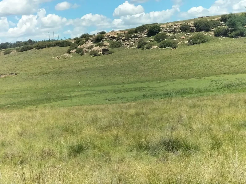 Bethlehem, Free State, South Africa. - Photo 2